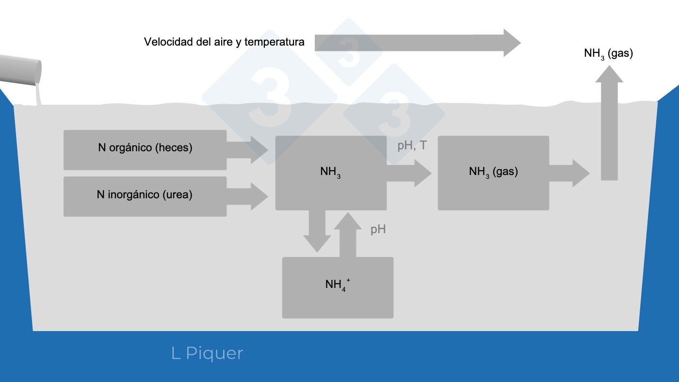 Gr&aacute;fico 2.&nbsp;Ciclo de formaci&oacute;n del&nbsp;amoniaco (NH<sub>3</sub>) durante el almacenamiento del pur&iacute;n.
